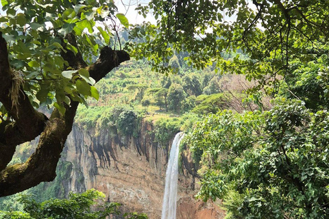 From Kampala/Entebbe: Mbarara Day Trip with Lunch & Guide