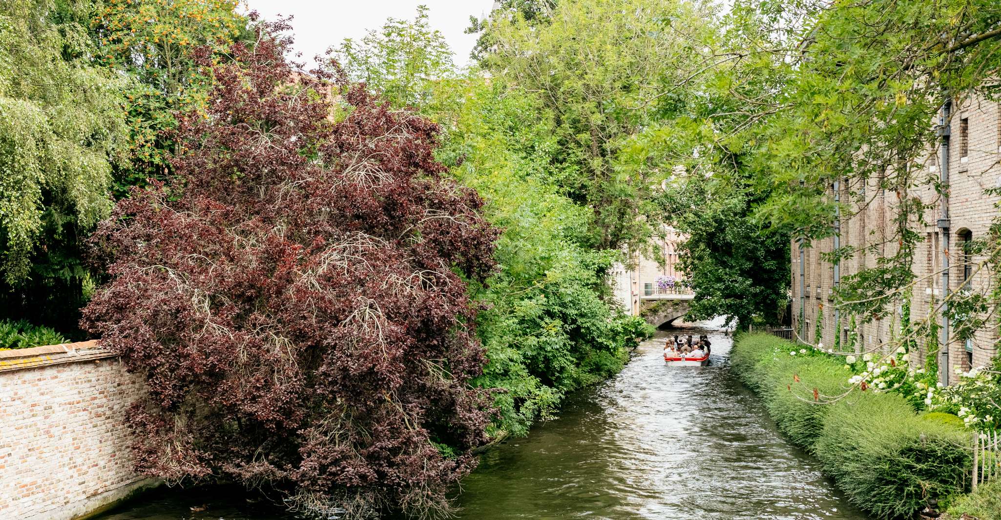 From Brussels: Guided Day Trip to Bruges and Ghent photo 20