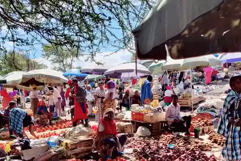 Arusha: City Tour, Tuktuk Ride and Hike