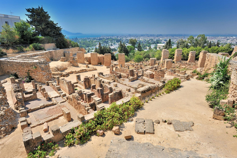 Vip Carthage & Sidi Bou Said, Tunis/bardo | Pickup included ❌Bus Tour (NOT RECOMMENDED)