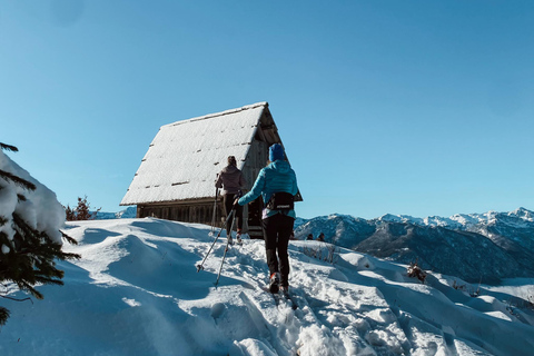Slovenia: Nordic Backcountry Skiing Adventure Pokljuka: Zajavornik Alpine Meadow