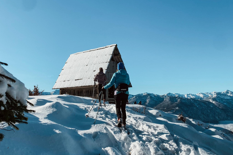 Slovenia: Nordic Backcountry Skiing Adventure Pokljuka: Zajavornik Alpine Meadow