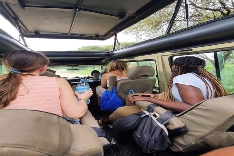 1Day Safari Tour Tarangire National Park Join Group