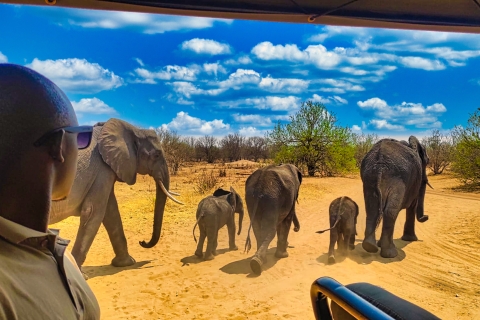 Victoria Falls: Zambezi National Park Game Drive + Transfer Small Group Tour