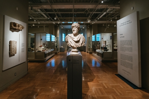 Royal Ontario Museum: General Admission Ticket