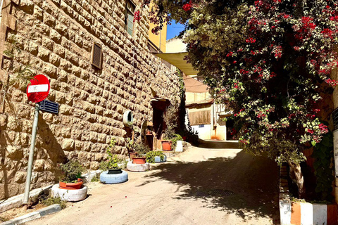 Depuis Amman : Excursion d&#039;une journée à Madaba, au Mont Nebo et à la Mer Morte