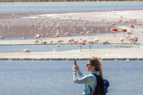 Depuis La Paz : Circuit de 5 jours dans les salines d&#039;Uyuni