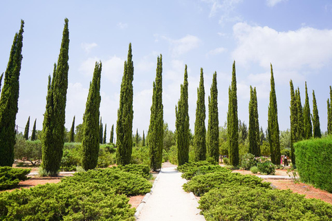 Cipro: Erbe curative e labirinto nel parco botanico Cyherbia