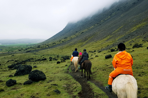 雷克雅达尔尔：家庭与初学者骑马之旅雷克雅达尔尔：家庭及初学者骑马游览