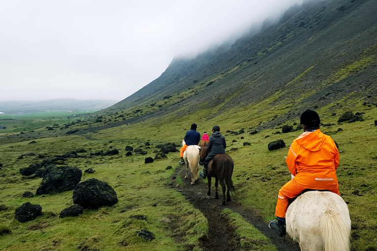 雷克雅达尔尔：家庭与初学者骑马之旅雷克雅达尔尔：家庭及初学者骑马游览