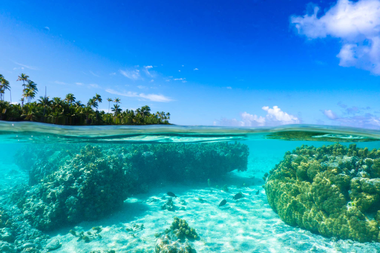 Von Tahiti aus: Tetiaroa Inselrundfahrt mit dem Segelkatamaran