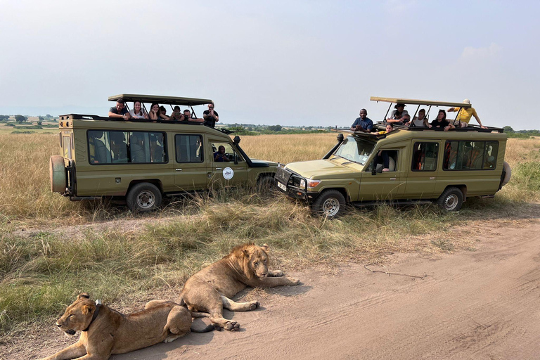 3 Days Uganda's Gorilla Trekking