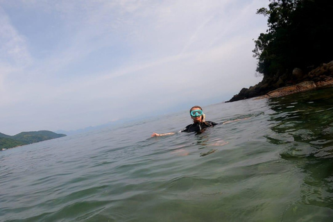 Snorkeling z żółwiami w ich naturalnym środowisku