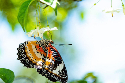 From Ho Chi Minh City: 2-Day Cat Tien National Park Tour