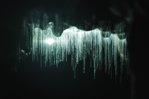 Auckland : Waitomo Glowworms & Te Puia Rotorua with Lunch