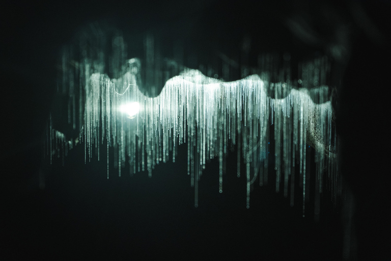 Auckland : Waitomo Glowworms & Te Puia Rotorua with Lunch