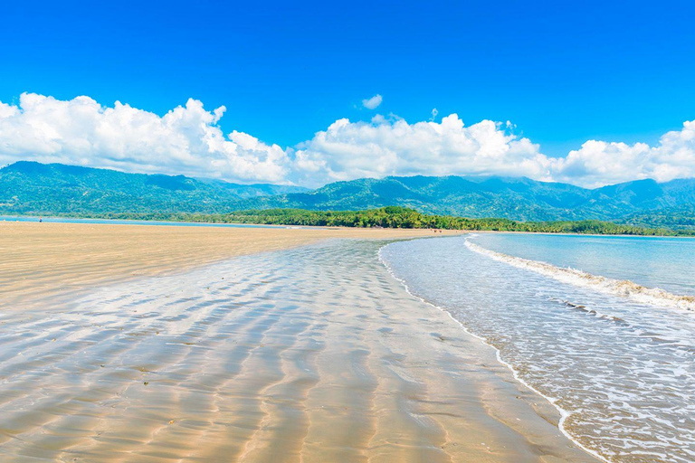 Costa Rica: Tour particular para observação de golfinhos e baleias em Uvita