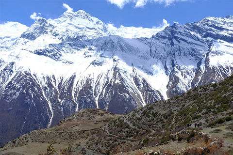 Aventura de 14 días por el Lago Tilicho y el Paso de Mesokanto