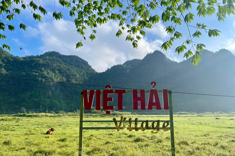 Hanoi/Catba: 2-Day Adventure Cat Ba National Park,Lan Ha Bay From Hanoi: 2-Day Adventure