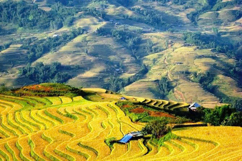 From Hanoi: Sapa 3-Day Trek with Culture and Cozy Bungalow From Hanoi with Sleep Bus & cozy Bungalow
