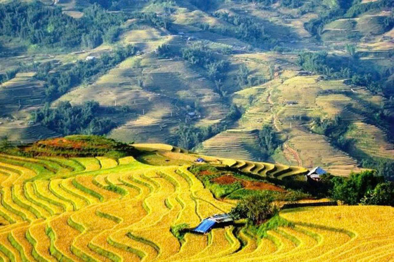 From Hanoi: Sapa 3-Day Trek with Culture and Cozy Bungalow From Hanoi with Sleep Bus & cozy Bungalow