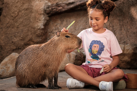 Bali Zoo: Capybara Brunch & Observation Experience Capybara Brunch Experience with Transfer