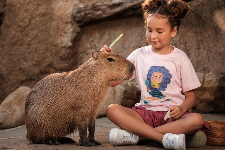 Bali Zoo: Capybara Brunch & Observation Experience Capybara Brunch Experience with Transfer