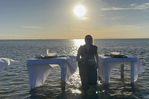 Moreton Bay: Oyster Farm Tour, Boat, Shucking & Tasting