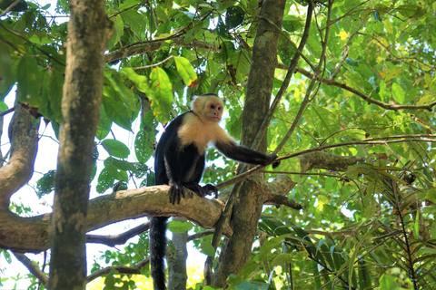 Manuel Antonio: Surfing Lessons For Everyone - Costa Rica