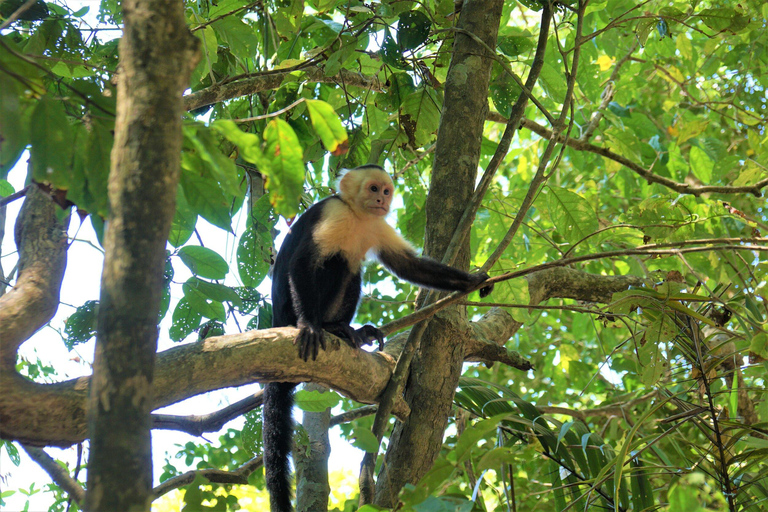 Manuel Antonio: Surfles voor iedereen - Costa Rica