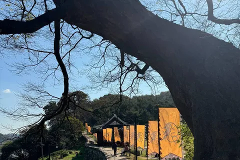 Au départ de Séoul : Visite de 2 jours de Gongju et Buyeo avec hébergement
