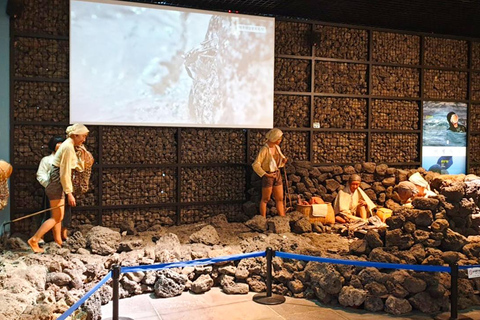 Jeju: UNESCO South & East Highlights 2 Days Combo Tour