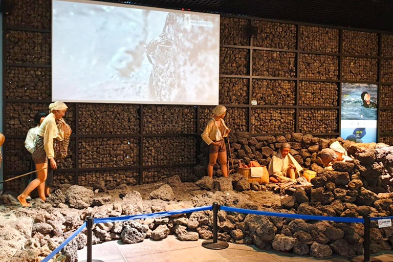 Jeju: UNESCO South & East Highlights 2 Days Combo Tour