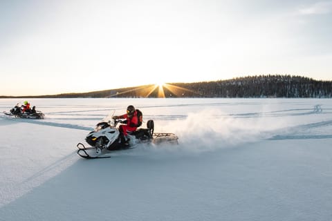 Ylläs: Ganztägige Schneemobil-Tour in die Wildnis
