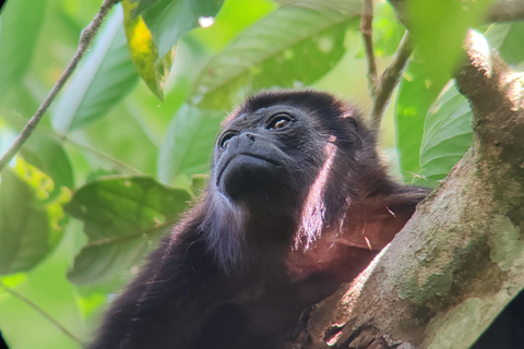 Excursión al Parque Nacional de Manuel Antonio.