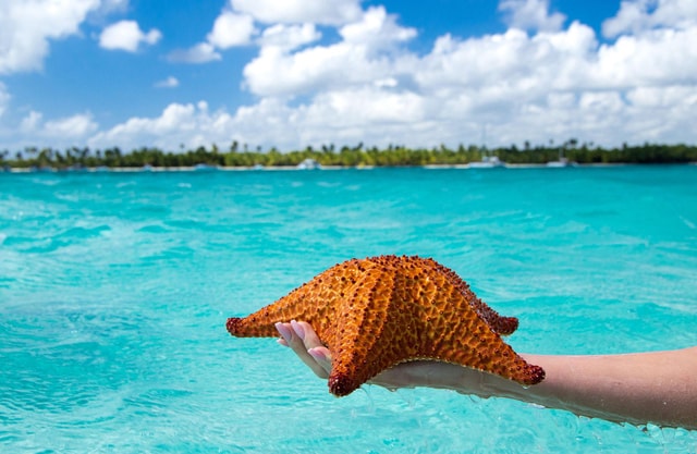 Isla Saona: Exklusiver Premium-Strand, ganztägig, ManoJuan-Buffet