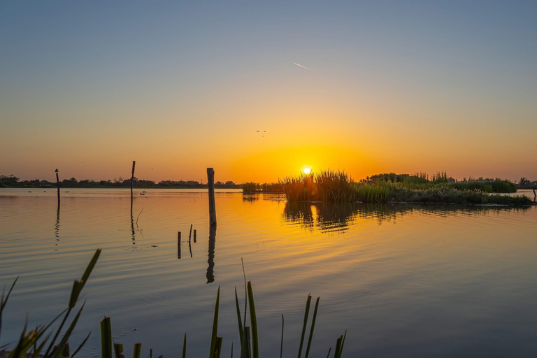 Camargue: Special sunrise/sunset photography session with horses and birds Camargue: Special sunrise/sunset photo shoot with horses and birds