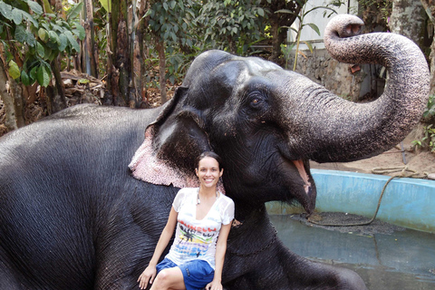 Nuitée à Periyar Wildlife Tour avec bain d&#039;éléphantsNuitée, Periyar Wildlife Tour avec bain d&#039;éléphants