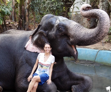 Pernoita, excursão à vida selvagem de Periyar com banho de elefante