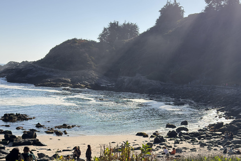From Santiago: Papudo Horseback Ride & Penguin Watching