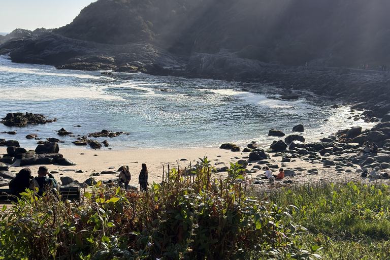 From Santiago: Papudo Horseback Ride & Penguin Watching