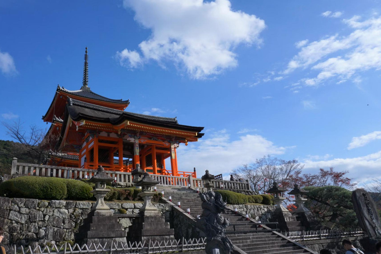 Tokyo: 8-Day Tour with Fuji, Kyoto, Nara, Hiroshima & Osaka Day 8 - Osaka Highlights (Spanish)