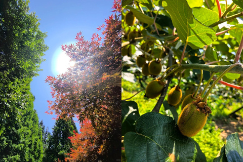 Chengdu Hiking in Yunhua Mountain Landscape & Secret Temple