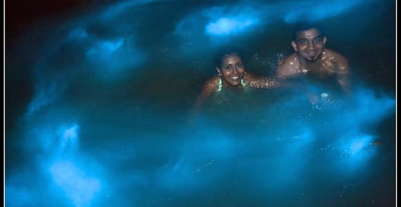 Luminous Lagoon Night Tour with Swim & Transportation