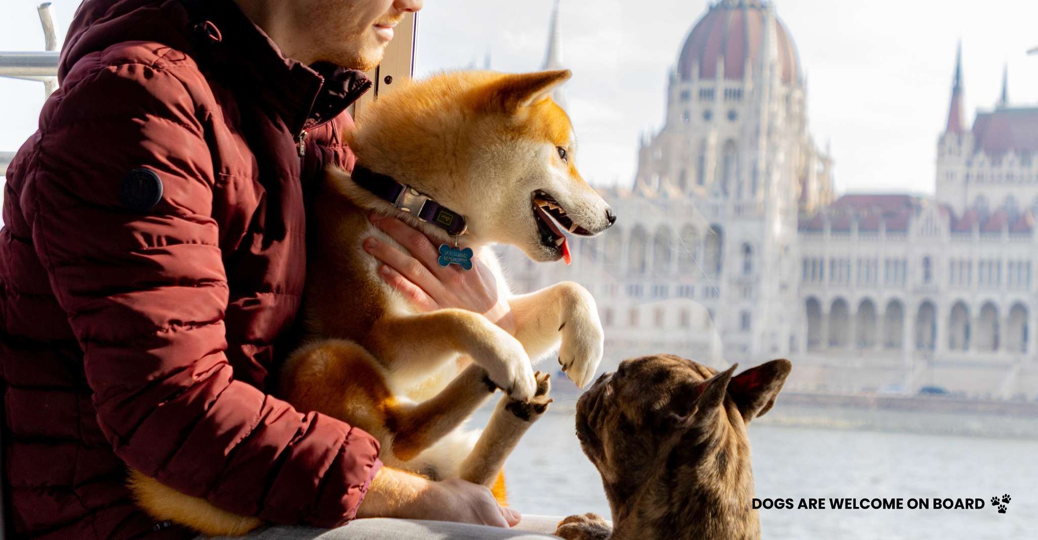 Budapest: Nighttime or Daytime Sightseeing Cruise photo 16