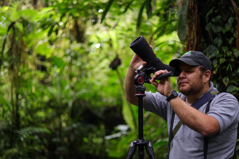 Monteverde: Nachtwanderung durch den Wald mit einem Guide