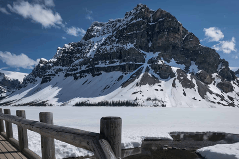 Banff/Canmore: Lake Louise e a Icefields ParkwayVisita partilhada