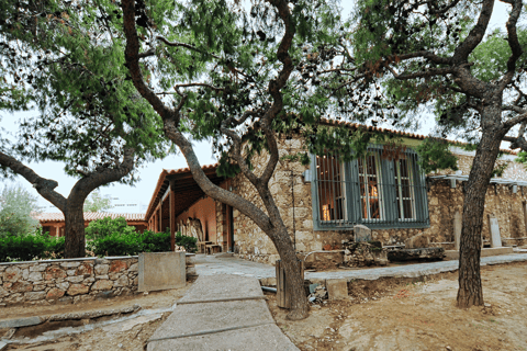 Private Luxury Tour: The Sacred Way - Athens to Eleusis