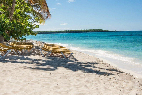 La Romana: Catalina Island Snorkeling Day Trip with Lunch