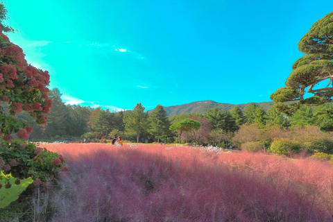 Seoul: Nijimori Japan(Day) & Nami Island & Korean Garden From Hongik Univ. Station Exit 4